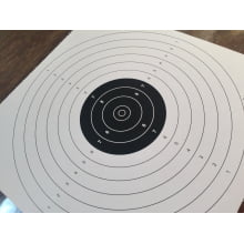 Alvo Pistola de Ar a 10 metros de Treino 17x17cm - 100 peças